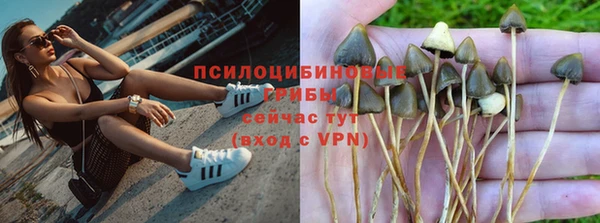 кокс Алзамай