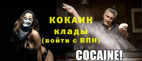 кокс Алексин
